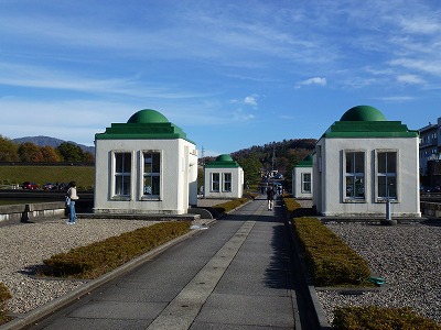 P1060326.jpg