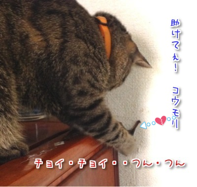 tBKAJ9n5TH41Fzw1408127095_1408127362.png