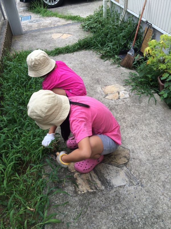 rblog-20150728235846-00.jpg