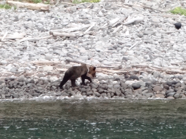 2012-10-06 14.50.54 - コピー.jpg