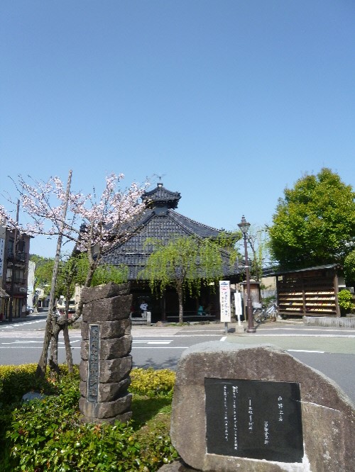 P1090954(1).JPG
