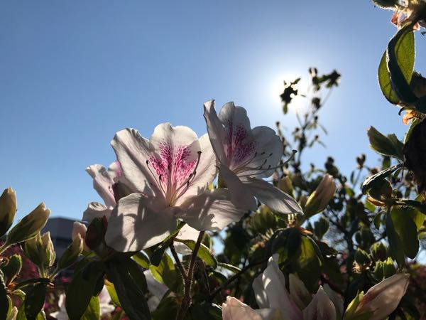 rblog-20170423174903-08.jpg