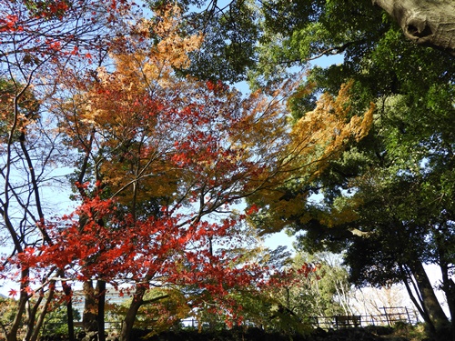 日比谷公園