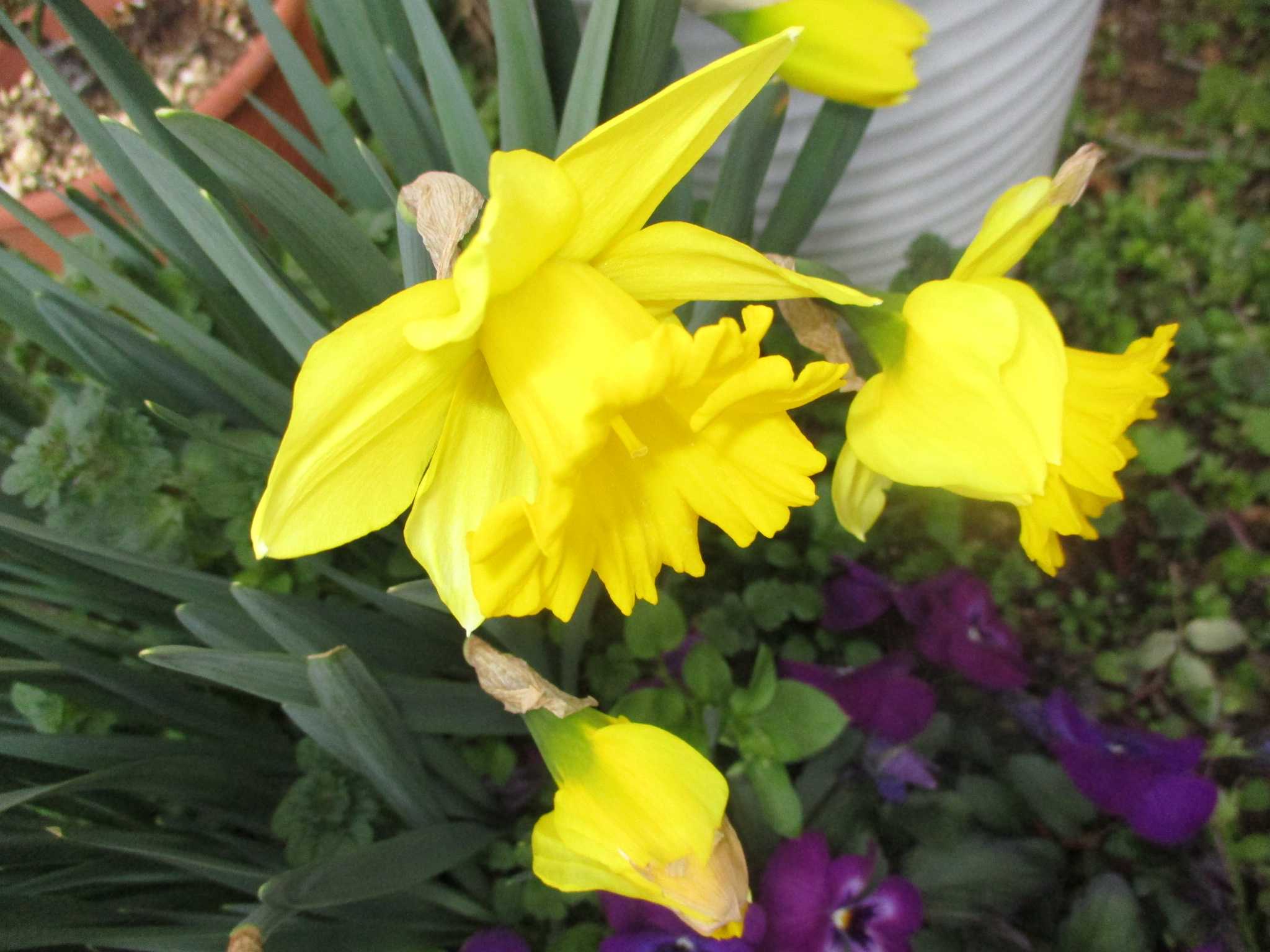 晴　陶　句　読