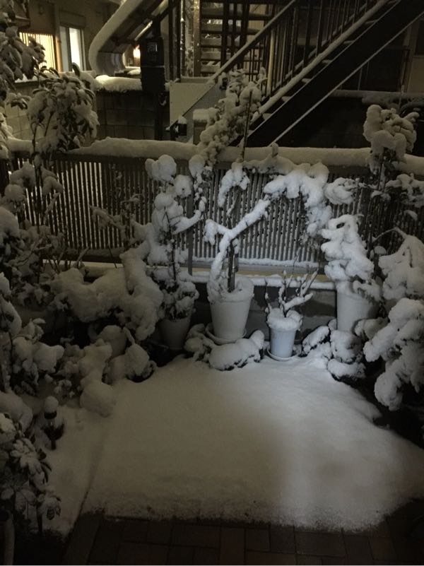rblog-20180122195940-01.jpg