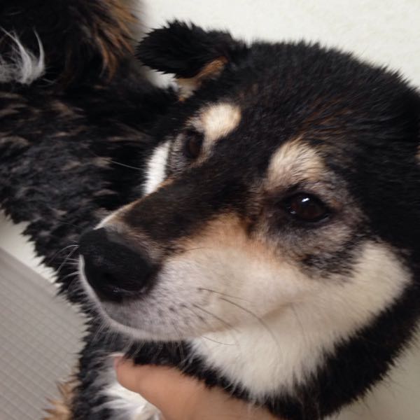 rblog-20150625195037-01.jpg