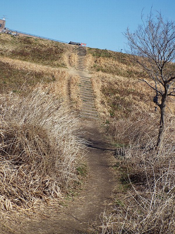 2016-02-18-kohakutyou-169-b.jpg
