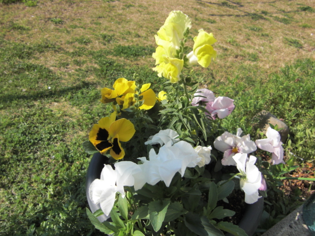 20150423-2.JPG