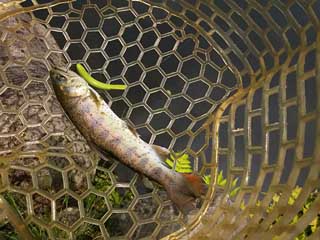 20150613_narago_04.jpg
