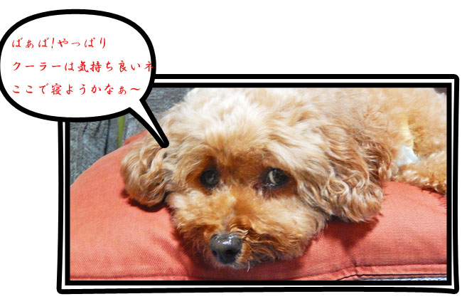 こころ１５