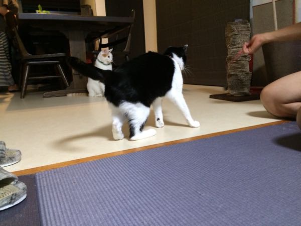 rblog-20150920062641-03.jpg
