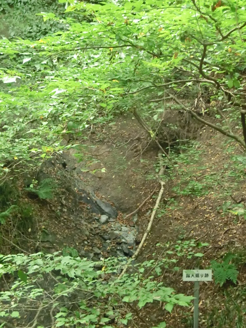 秩父旅行 (和同露天掘り跡) (5).JPG
