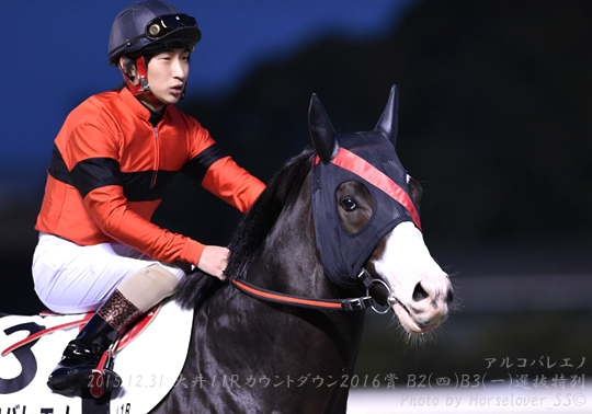 03Arcobaleno123115tck11R_04