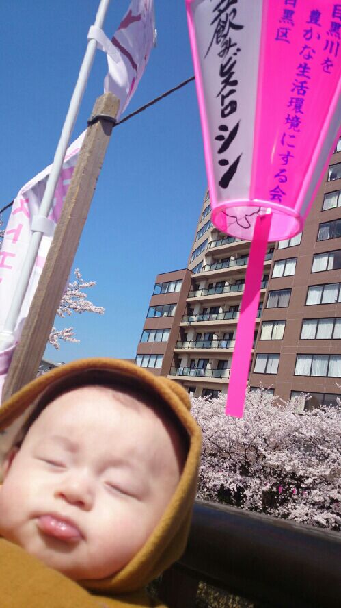 rblog-20150402125527-01.jpg