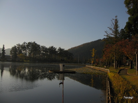 IMG_1420.JPG