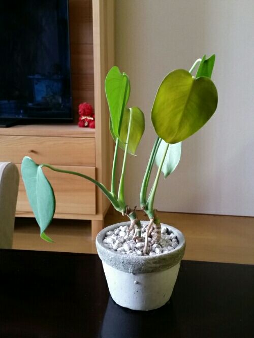 rblog-20160429162438-02.jpg