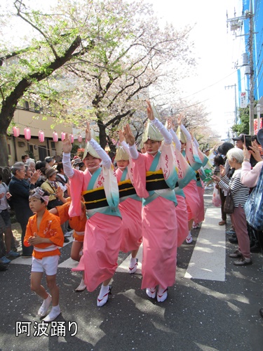 馬込文士村大桜まつり