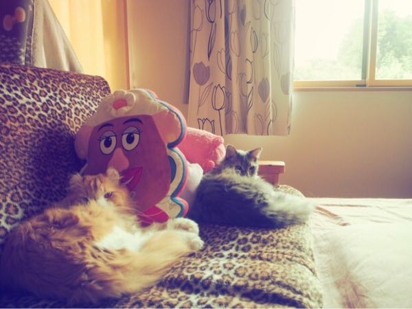rblog-20161010142638-03.jpg