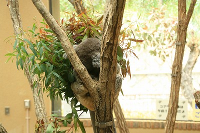 IMG_7169.jpg