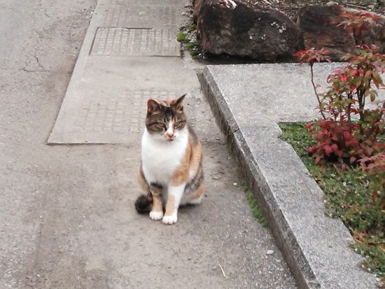 DSC_0666.jpg