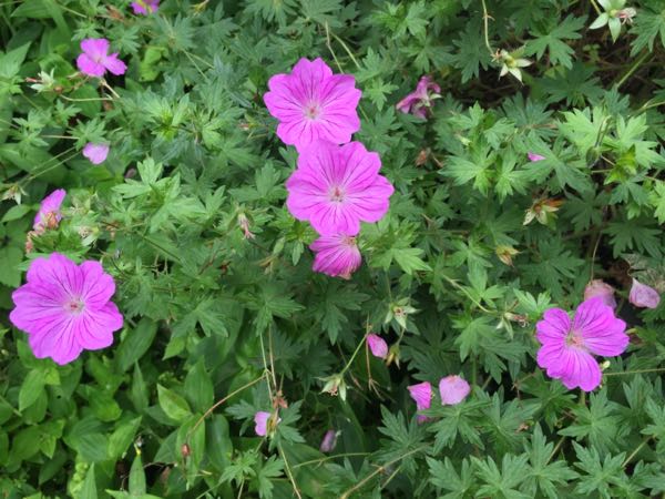 rblog-20160625182925-05.jpg