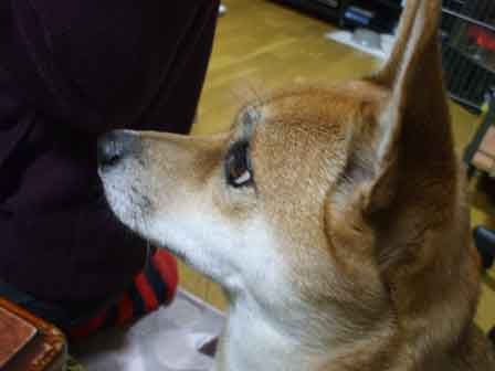 ちろ