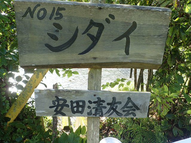 resize0015.jpg