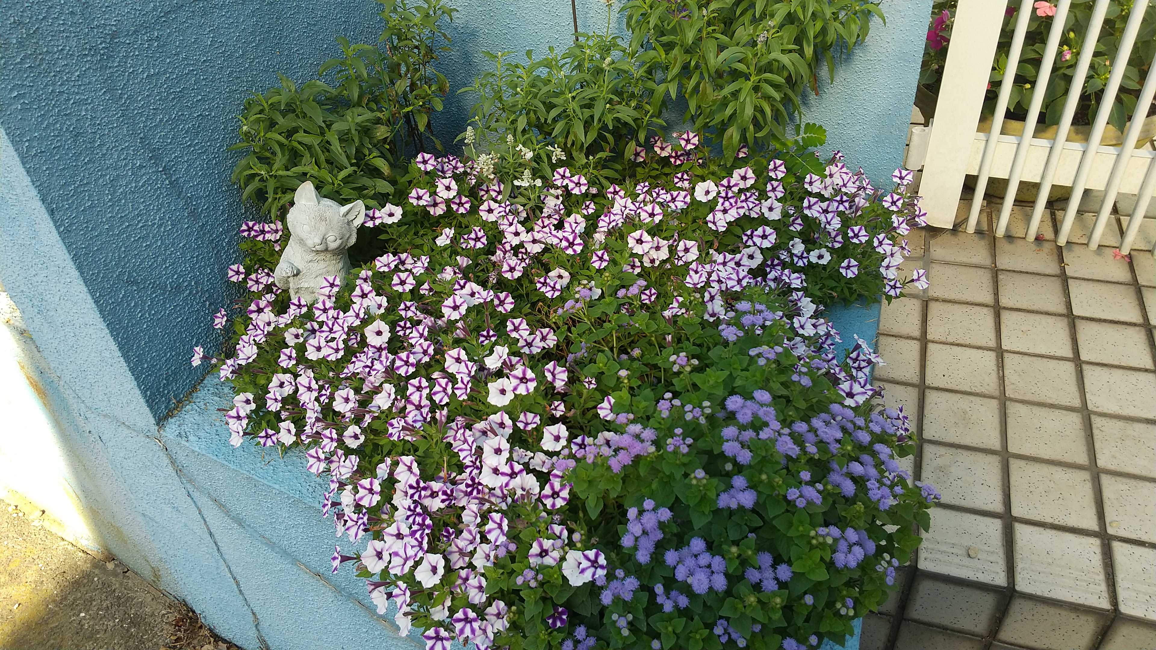 残りの人生を楽しく