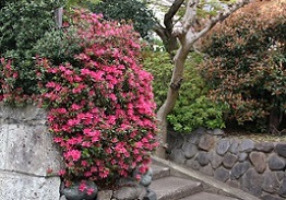 IMG_8450-10.jpg