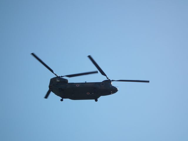 DSCF8410.JPG