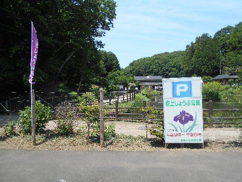 吹上菖蒲公園 青梅市 その１ Shinanonokuniのブログ２ 楽天ブログ