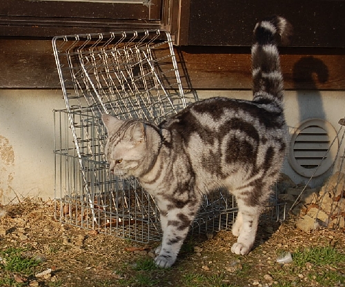 DSC_0037.JPG