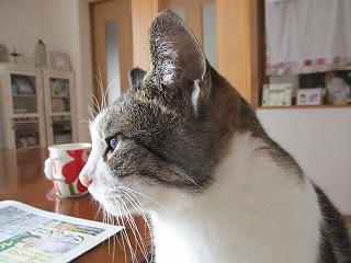 IMG_2793ss.jpg