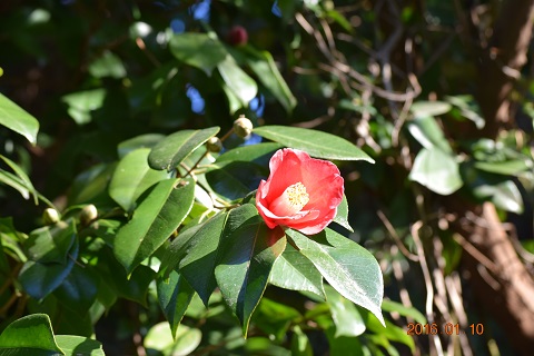DSC_0068.JPG