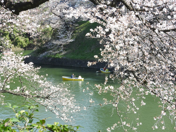 千鳥ヶ淵緑道