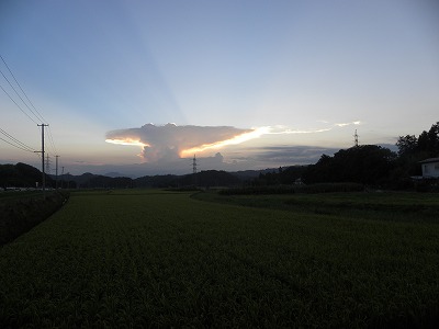 DSCN9779.jpg