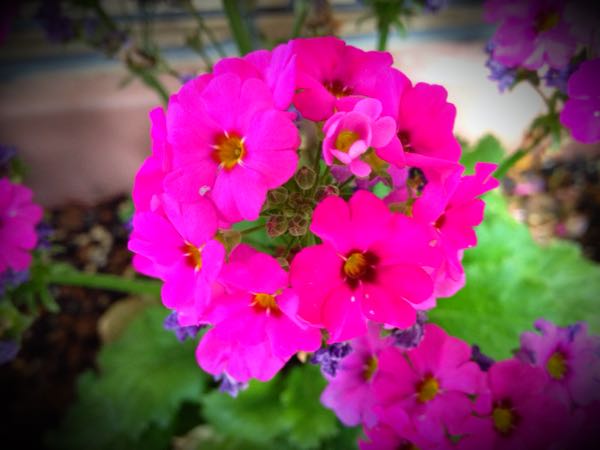 rblog-20141225182730-01.jpg