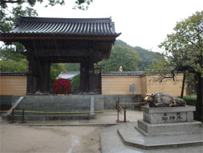 九州164.jpg