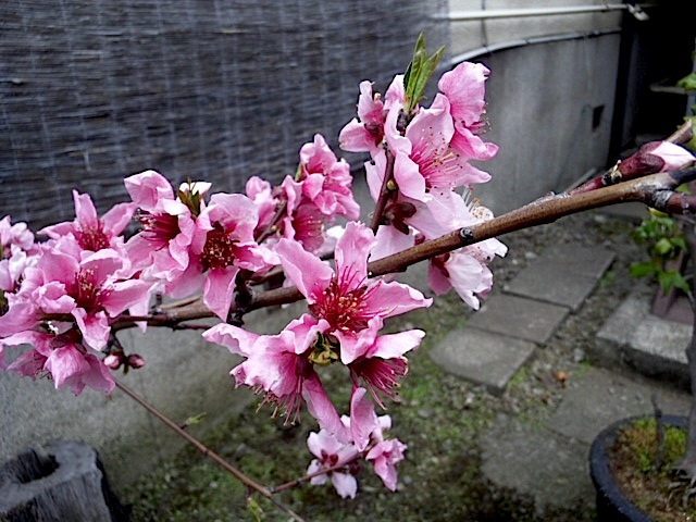 120407_131136.jpg