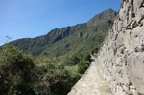 南米331.jpg