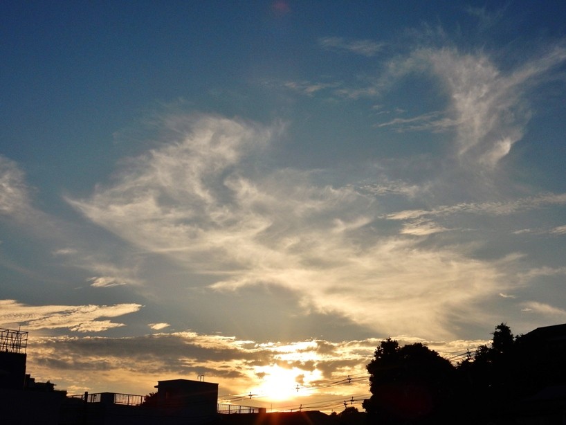 夕暮れ2.JPG