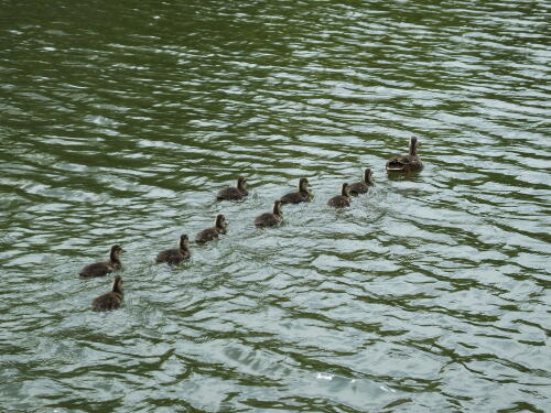 小池公園にて