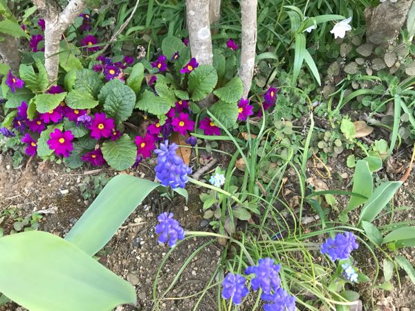 rblog-20180408181115-05.jpg