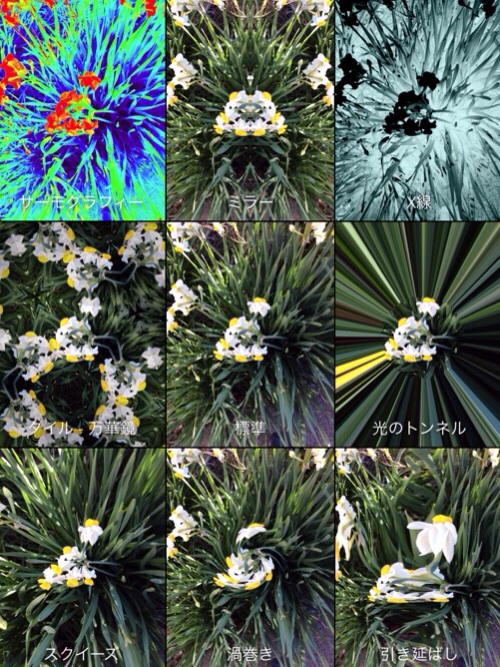 Photo Booth + 水仙