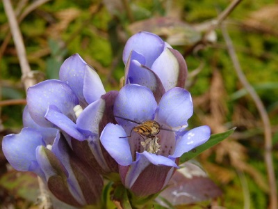 PA270006.JPG
