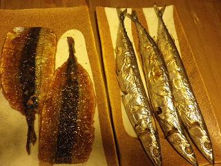秋刀魚1013.JPG