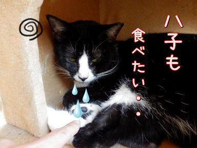食べたい.JPG