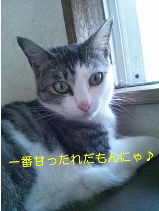 20120730_4.jpg