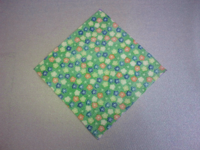 CameraZOOM-20120223144452511.jpg