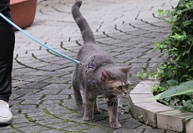 IMG_3005-11.jpg